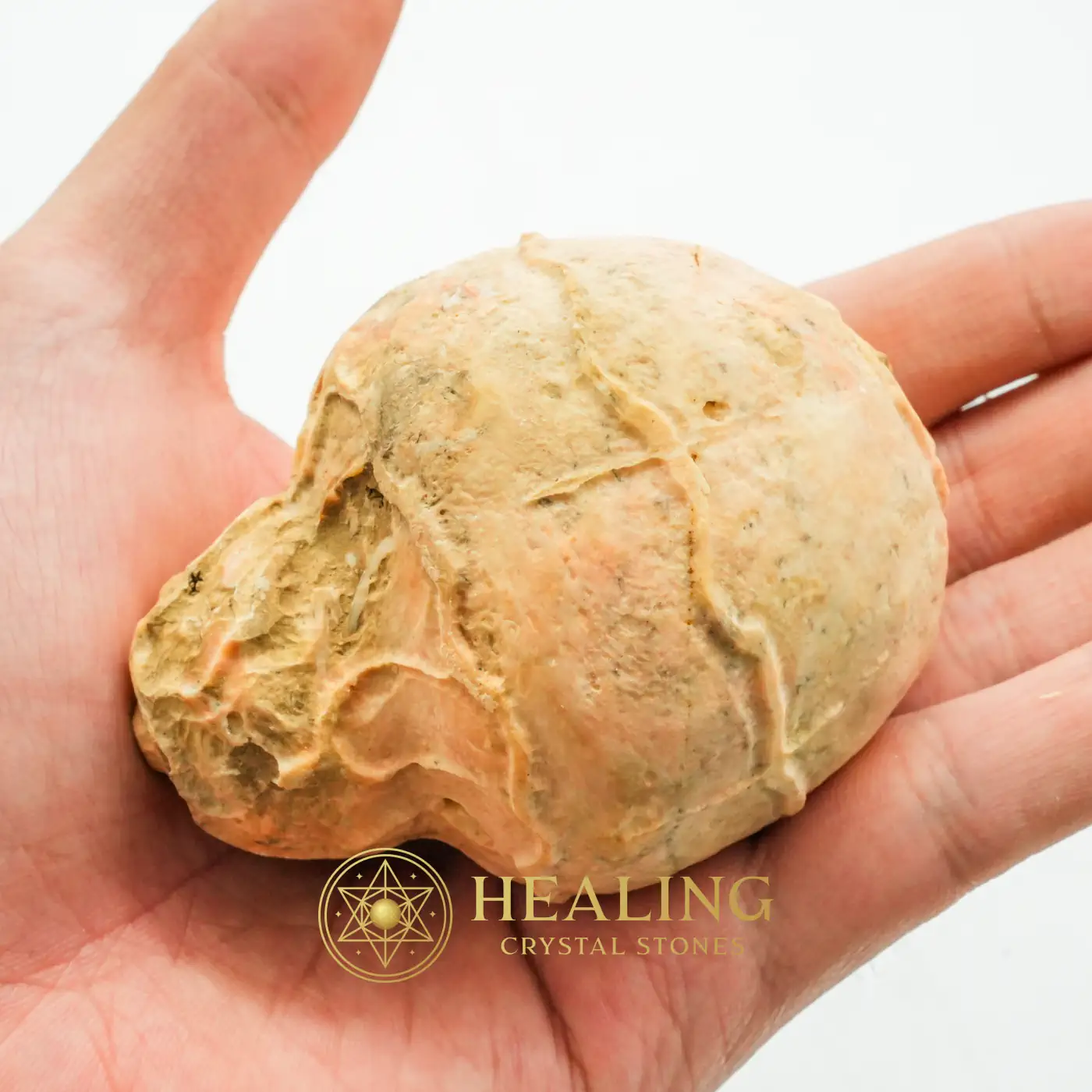 Javanese Fossilized Treasure Vase - Type A3 Magickal Stones, Spiritualism, Relic, Divine, Harmony, Purification, Unique, Guardian Talisman, Earth Spirit Stone, Negative Energy Protection-
