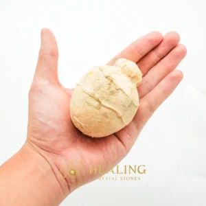 Javanese Fossilized Treasure Vase - Type A5 -Talisman Crystals, Spiritual, Enchanted, Inner Wisdom, Balance, Cleansing, Unique, Guardian Crystal, Earth Spirit Stone, Energy Shield Crystal