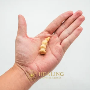 Jungle Cat Horn - Type B1 - Mustika Stones, Healing Stones, Energy Stones, Universal Energy, Emotional Healing, Cleansing, Divine, Unique, Antique, Exceptional