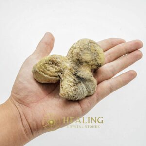 King Otter Pearl - Type A - Bezoar Stones, Healing Stones, Ritual Power Stones, Talisman Crystals, Energy Stones, Crystal Stones, Magical Stones, shamanic, mystical, psychic