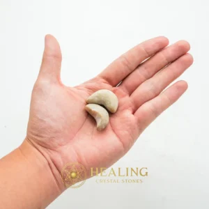 Leech Fossils - Type C - Energy Stones, Energy Balance Stone, Energy Alignment Crystal, Positive Energy, Universal Energy, Harmony, Balance, Aura Crystal, Life Energy Crystal, Life Force Stone