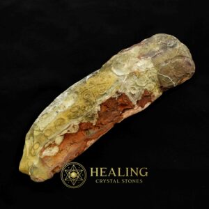 Magickal Fossilized Snake Siluman Tongue - Bezoar Stones, Talisman Crystals, Healing Crystals, Spiritual Crystals, Energy Stones, Crystal Stones, Enchanted Stones, Metaphysical, Occult, Artifact