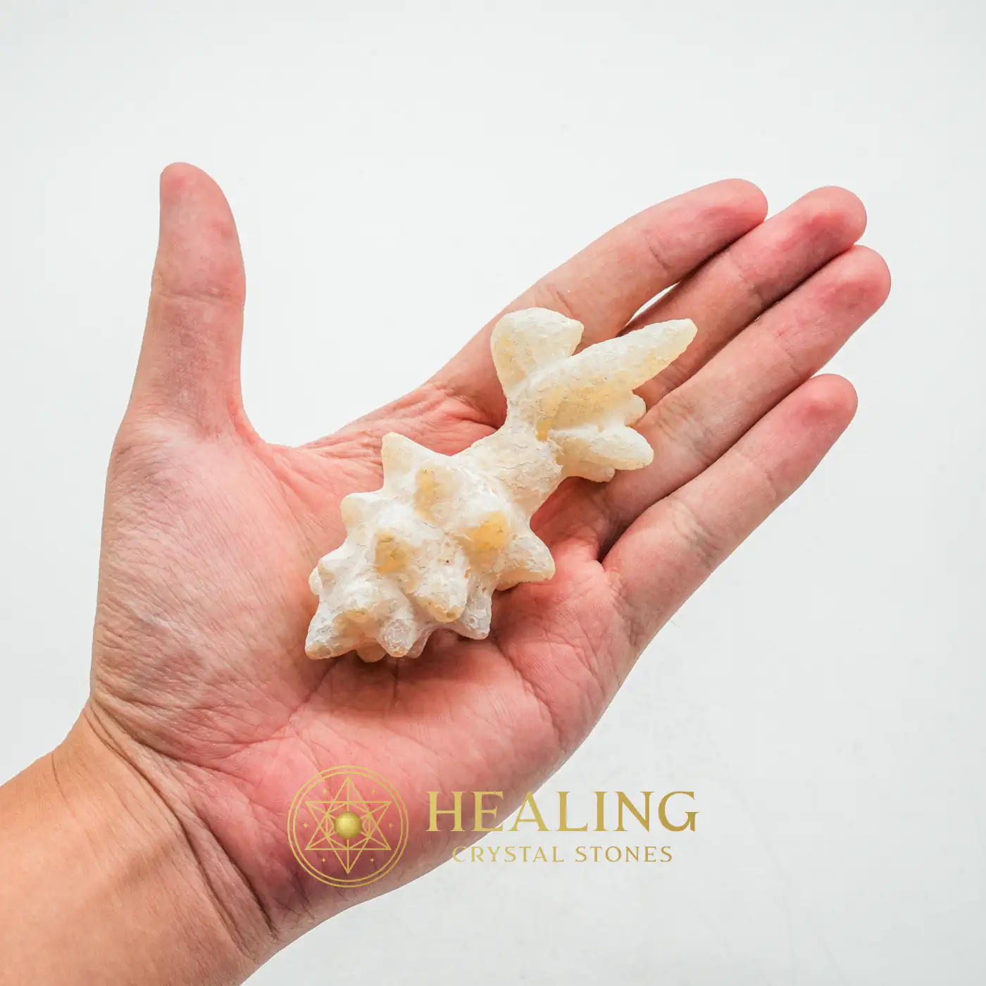 Monkey God Pearl - Type B1 - Healing Crystals, Crystal Stones, Amulet Stones, Chakra, Harmony, Protection, Positive Energy, Rare, Authentic, Divine