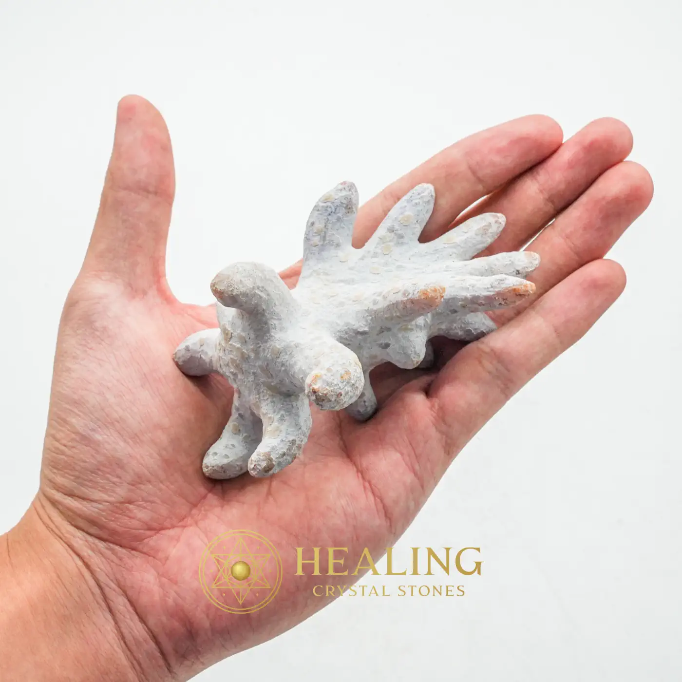 Monkey God Pearl - Type B2 - Healing Stones, Talismanic Stones, Spiritual Healing, Mysticism, Emotional Healing, Cleansing, Sacred, Authentic, Rare, Exceptional