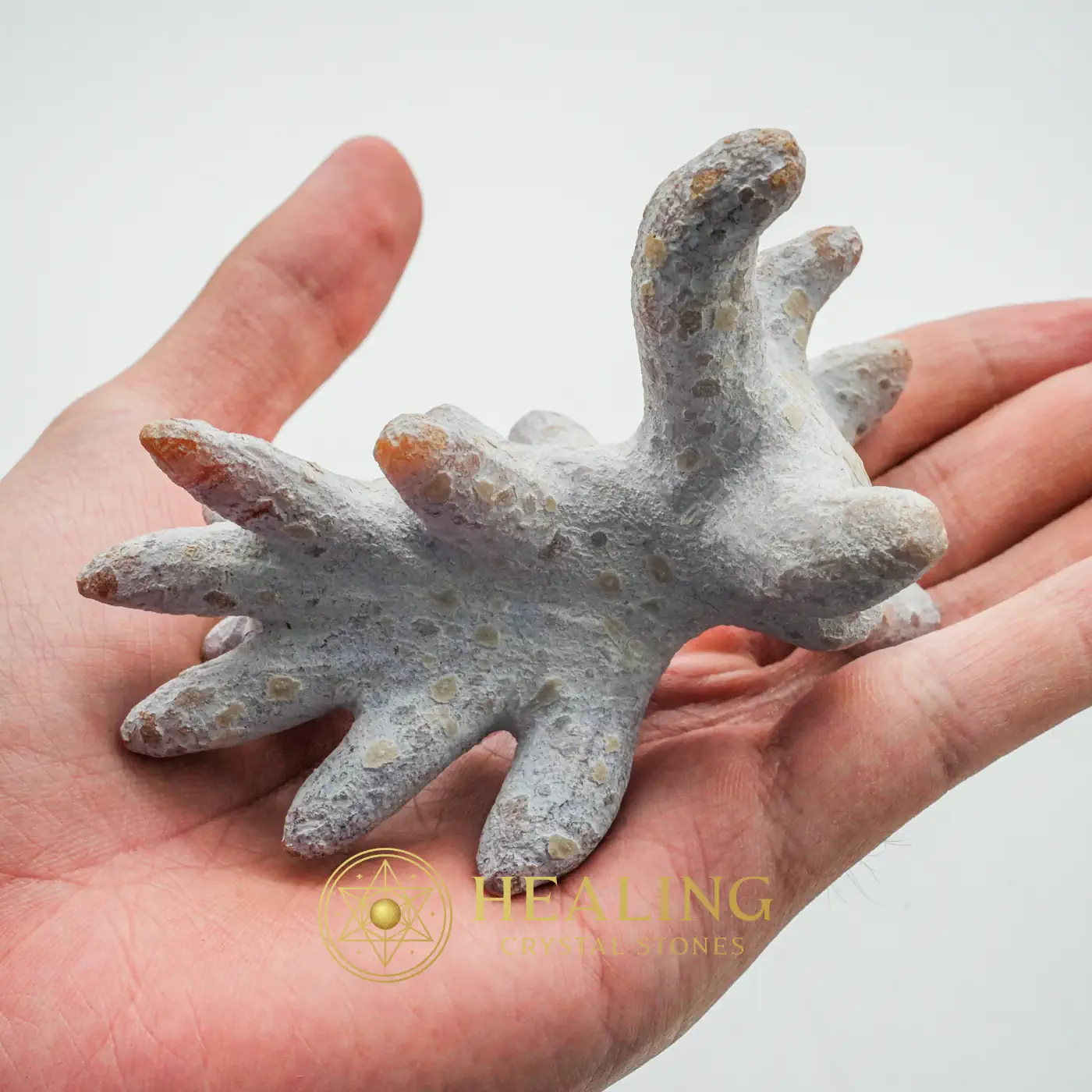 Monkey God Pearl - Type B2 - Bezoar Stones, Mustika Pearls, Sacred Crystals, Universal Energy, Meditation, Fortune, Exotic, Unique, Antique, Aura