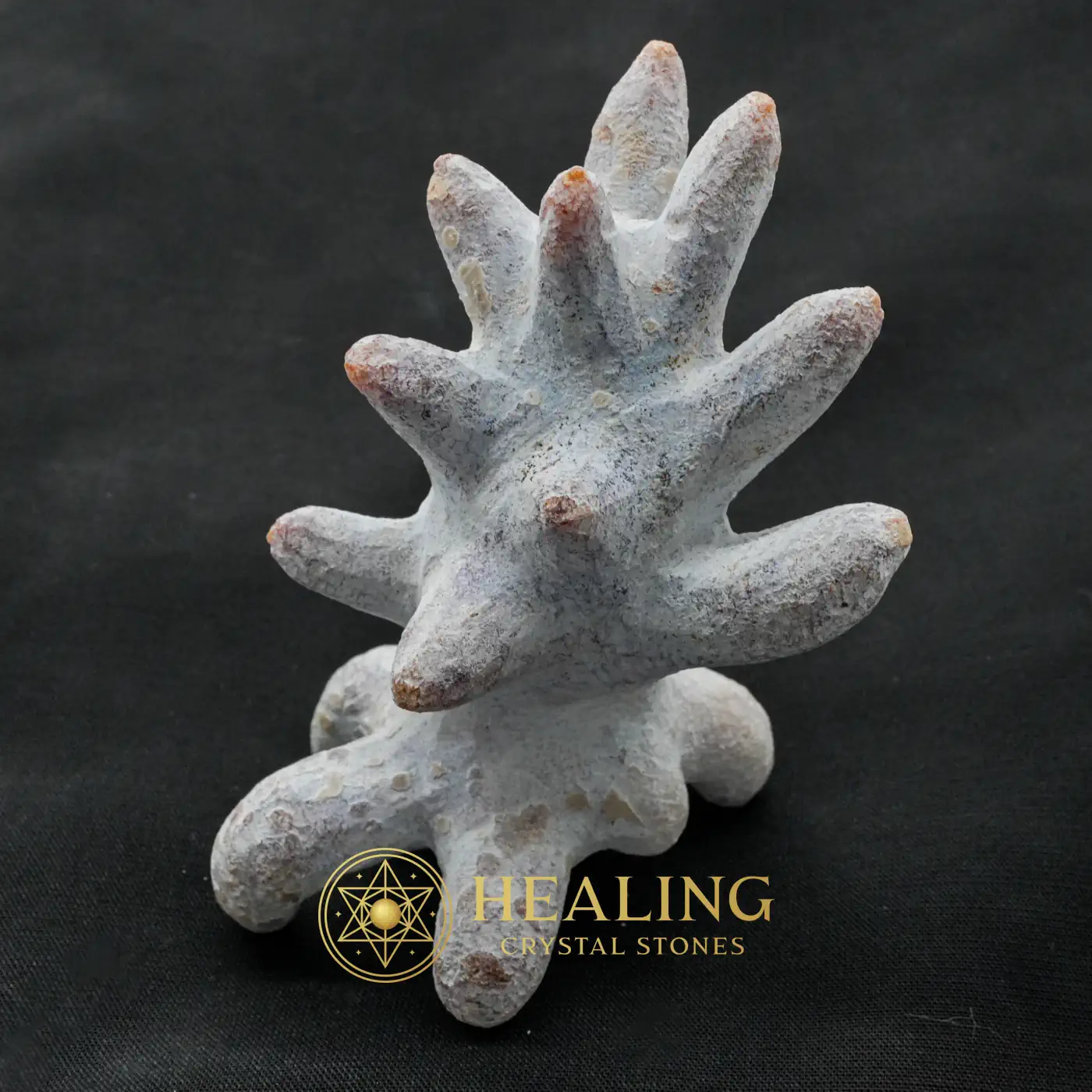 Monkey God Pearl - Type B2 - Crystal Stones, Ritual Power Stones, Energy Stones, Chakra, Balance, Protection, Divine, Antique, Harmony, Unique