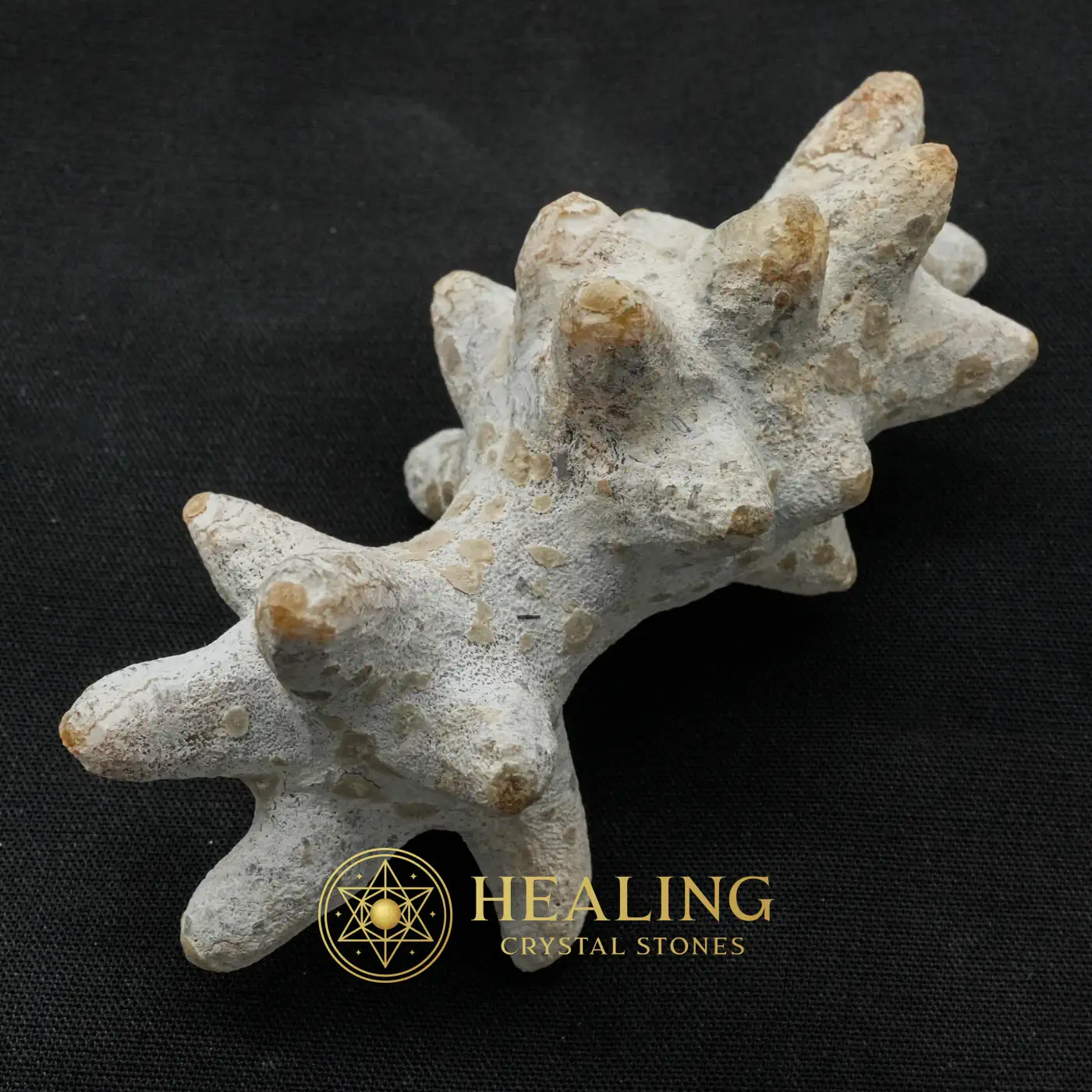 Monkey God Pearl - Type B3 - Healing Crystals, Bezoar Crystals, Sacred Crystals, Aura, Universal Energy, Positive Energy, Fortune, Rare, Authentic, Exotic