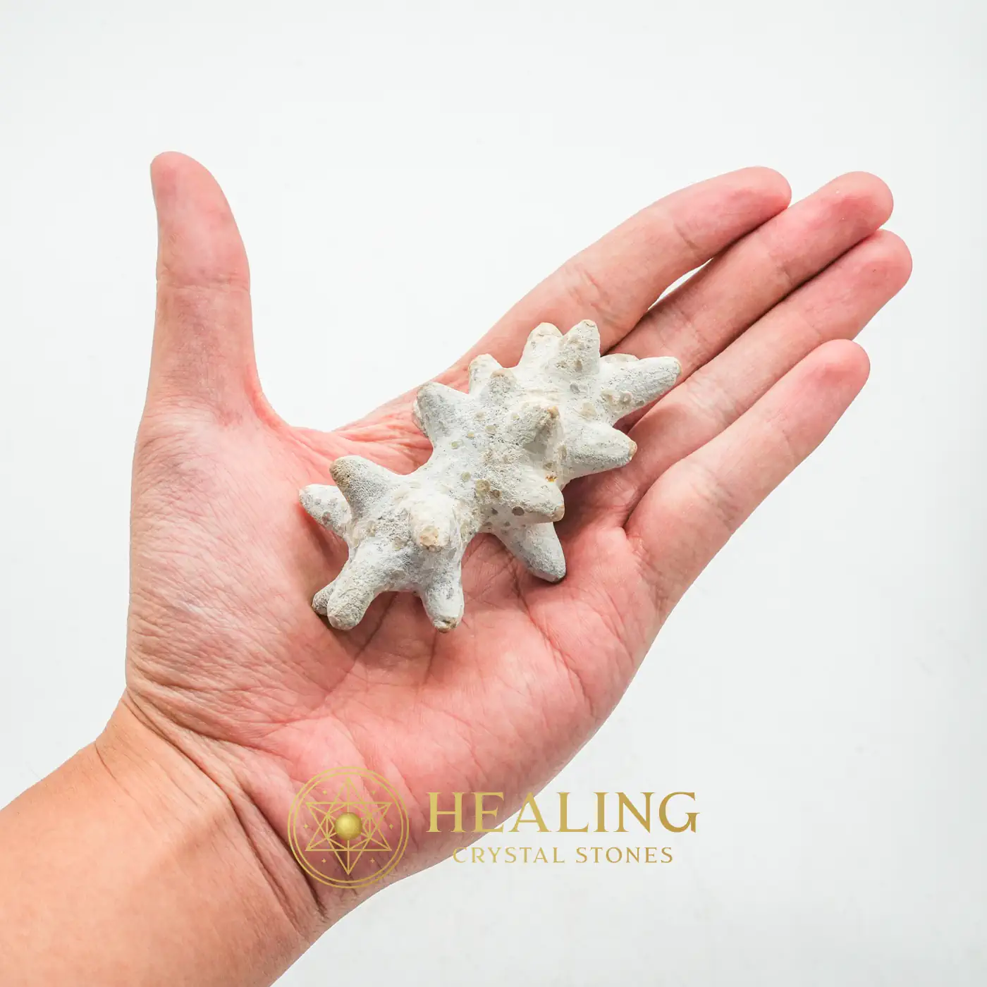 Monkey God Pearl - Type B3 - Crystal Stones, Spiritual Crystals, Sacred Stones, Harmony, Protection, Positive Energy, Rare, Unique, Authentic, Aura