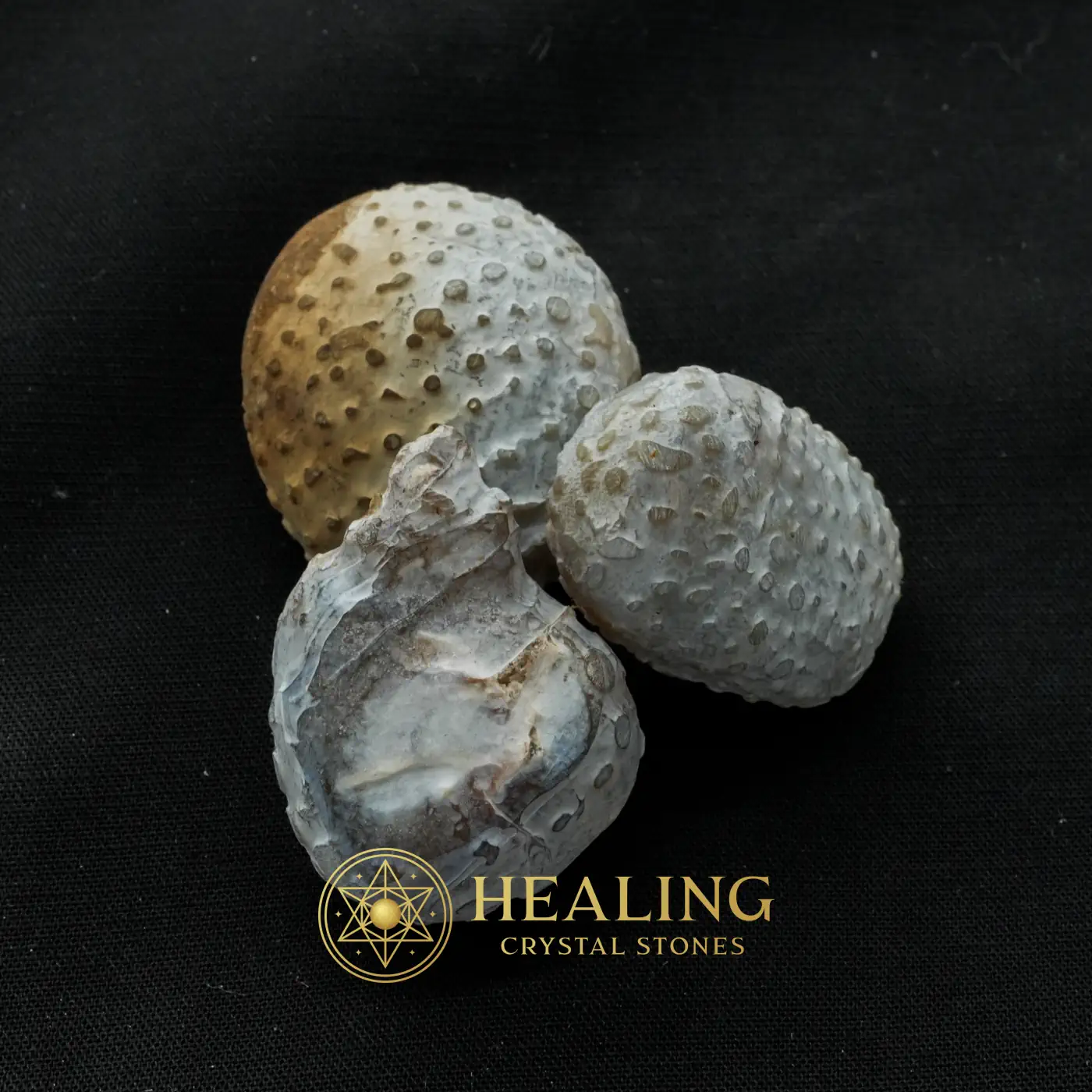 Monkey Pearl - Type K1 (Etheric Monkey) - Sacred Stones, Sacred Crystals, Divine, Mystical, Enchanted, Relic, Ancient Relic, Mystical Relic, Authentic, Ornamental
