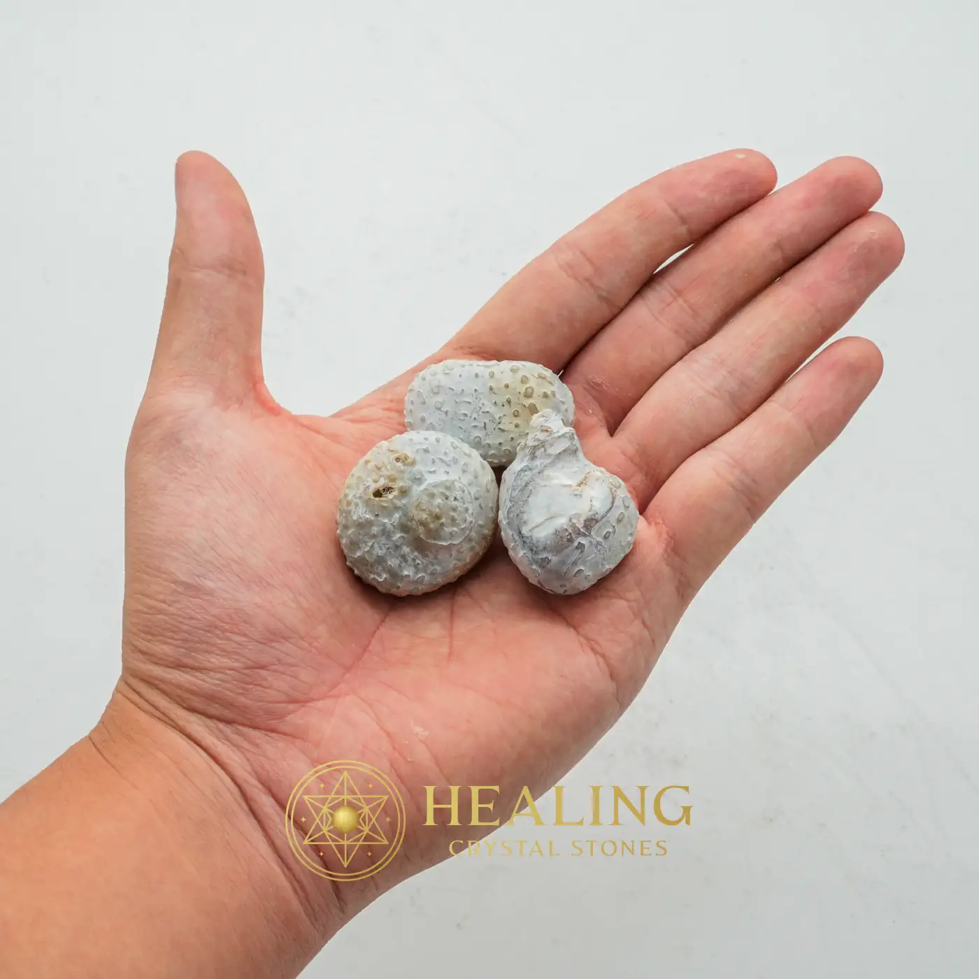 Monkey Pearl - Type K1 (Etheric Monkey) - Spiritualism, Spritual, Metaphysics, Psychic, Shaman, Shamanic, Mysticism, Esoteric Stone, Esoteric Crystal, Esoteric Artifact