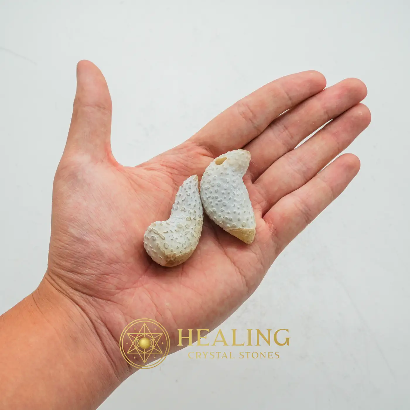 Monkey Pearl - Type K2 (Etheric Monkey) - Fortune, Luck, Positive Energy, Universal Energy, Divine, Sacred, Mystical, Guardian Amulet, Guardian Talisman, Enchanted