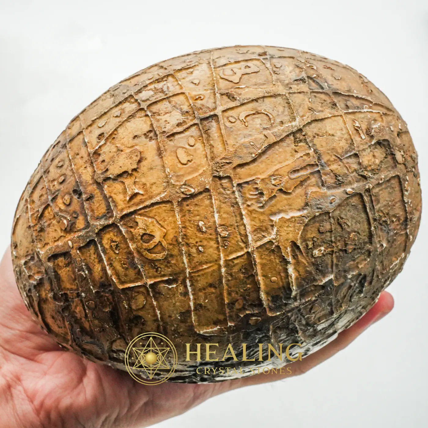 Mountain Belt Pearl - Type A1.3 (Egg Shape) - Crystal Stones, Healing Crystals, Bezoar Crystals, Aura, Emotional Healing, Fortune, Positive Energy, Authentic, Exotic, Rare