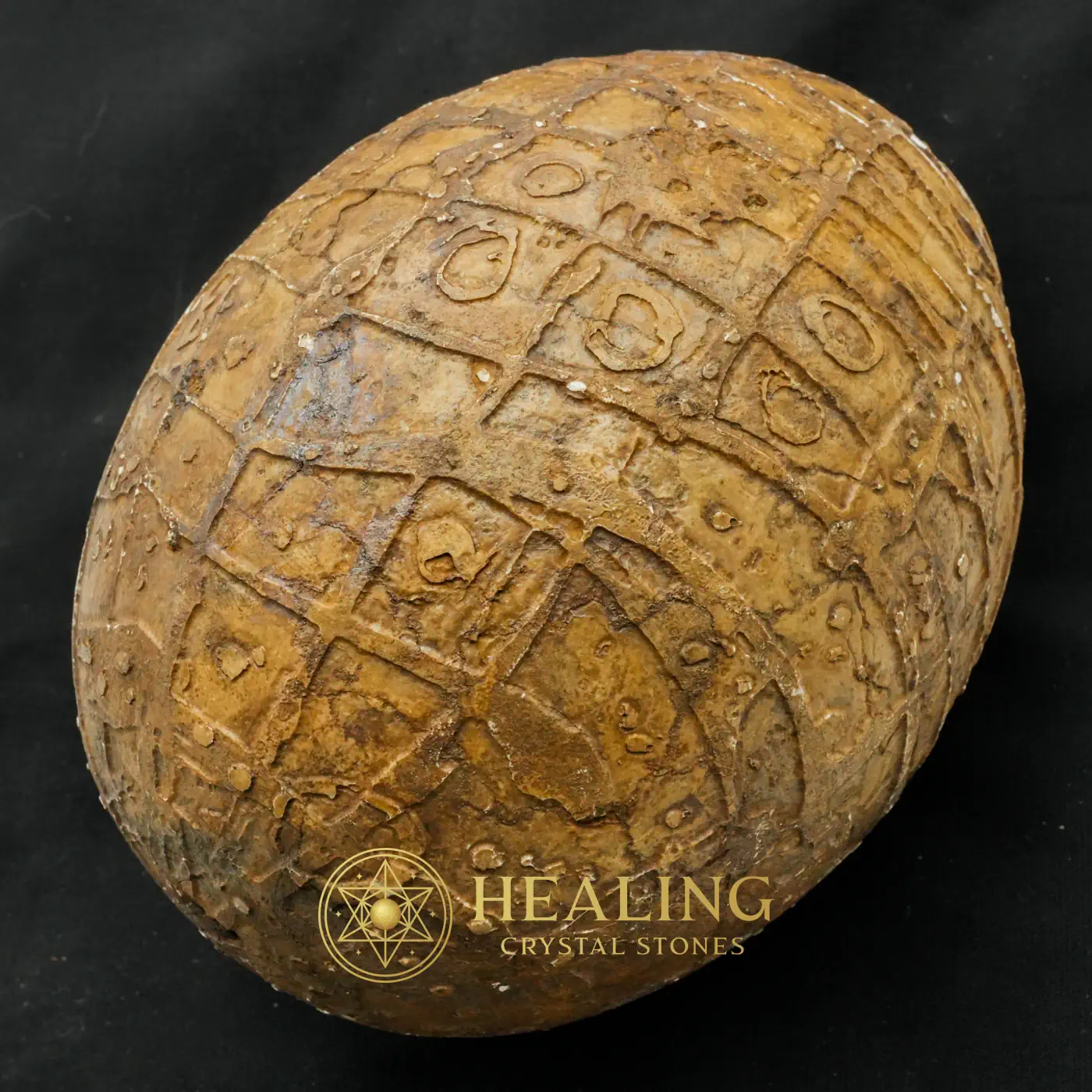 Mountain Belt Pearl - Type A1.3 (Egg Shape) - Healing Stones, Amulet Stones, Spiritual Crystals, Chakra, Mysticism, Harmony, Authentic, Rare, Divine, Exceptional