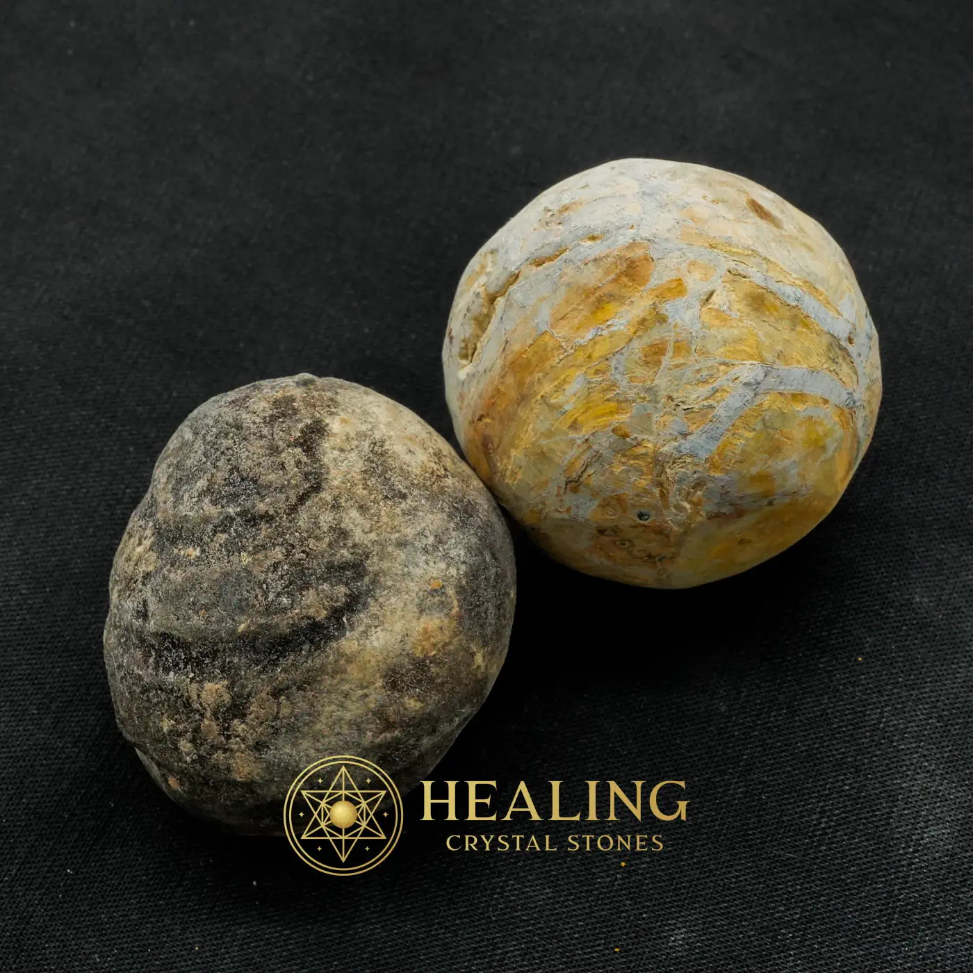 Nagasari Wood Pearl - Type D1 - Awakened, Spiritual Crystals, Shaman, Balance, Fortune, Emotional Healing, Exotic, Solar Crystal, Guardian Crystal, Energy Alignment Crystal