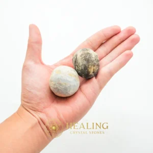 Nagasari Wood Pearl - Type D1 - Chakra, Bezoar Crystals, Magical Stones, Universal Energy, Protection, Cleansing, Rare, Life Energy Crystal, Guardian Talisman, Aura Crystal