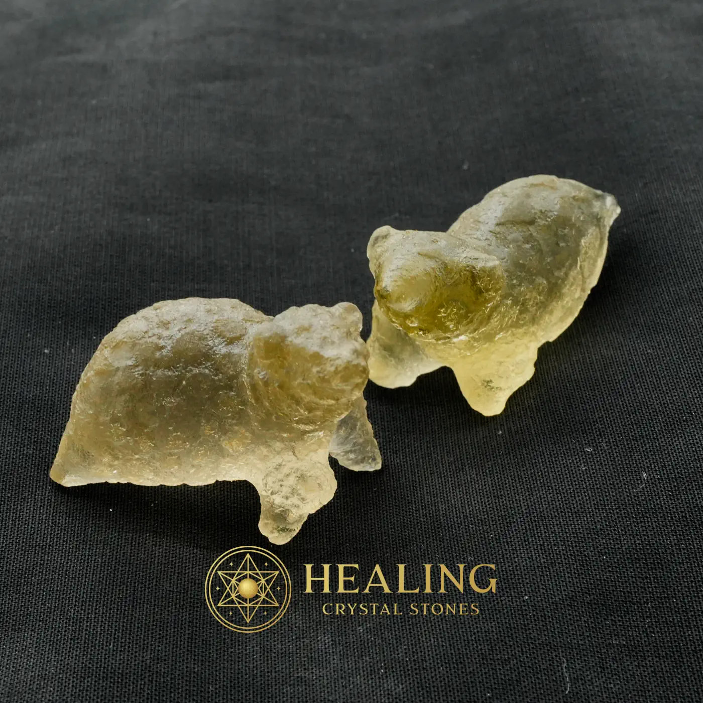 Petung Bird Siluman Crystal Fossil - Type B1 - Crystal Stones, Magickal Crystals, Ritual Crystals, Energy Stones, Universal Energy, Energetic, Harmony, Balance, Sacred Crystals, Mystical