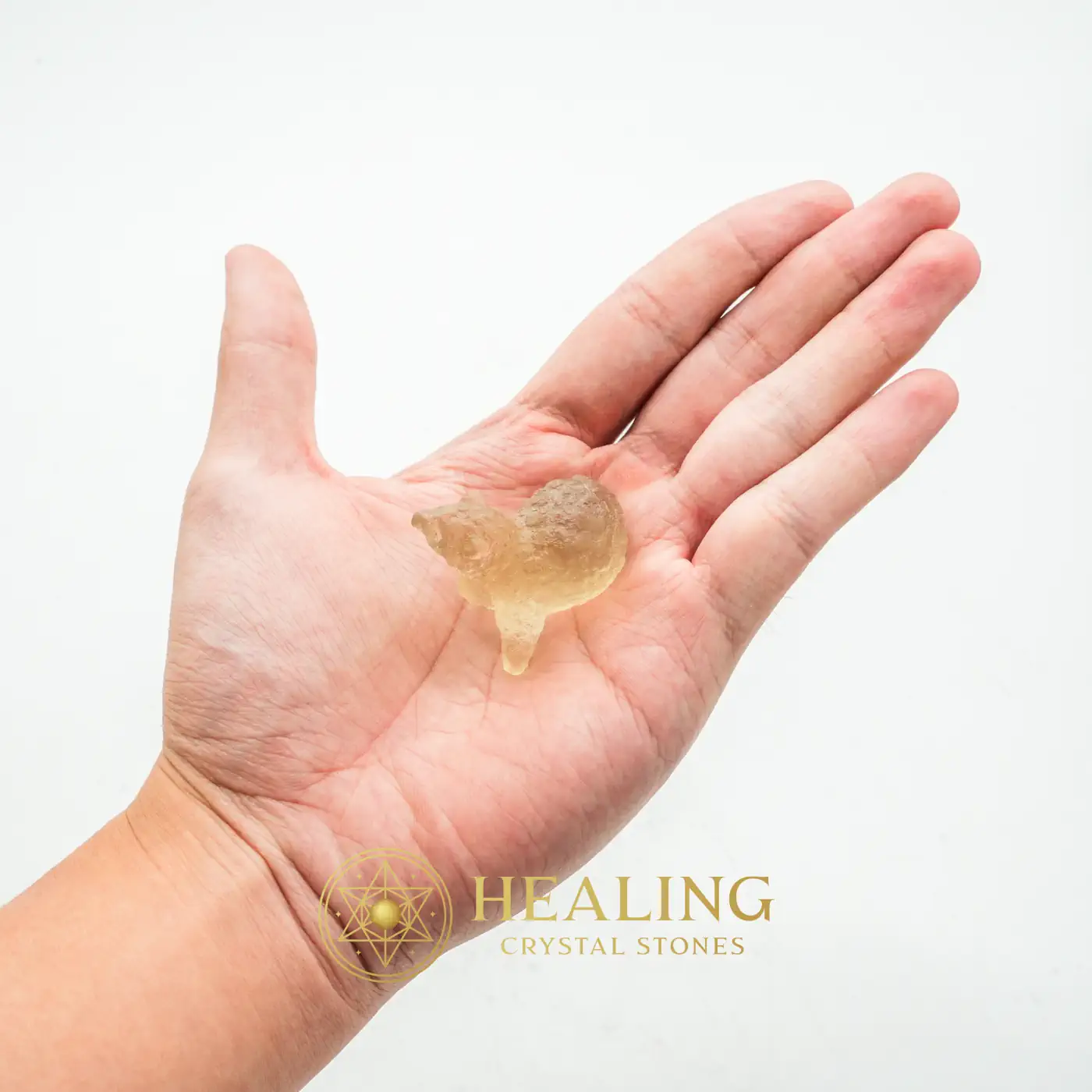 Petung Bird Siluman Crystal Fossil - Type B1 - Healing Crystals, Emotional Healing, Spiritual Healing, Meditation, Chakra, Inner Wisdom, Awakened, Aura, Aura Crystal, Positive Energy
