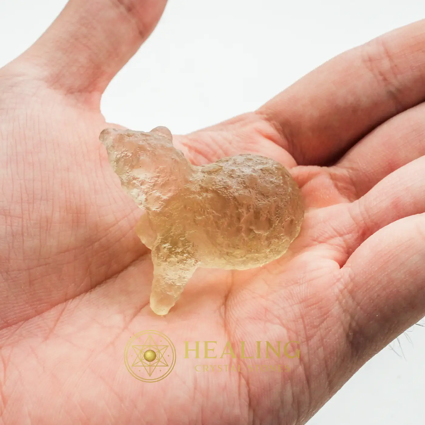 Petung Bird Siluman Crystal Fossil - Type B1 - Mustika Pearls, Mustika Stones, Talismanic Stones, Talisman Crystals, Amulet Stones, Guardian Amulet, Guardian Talisman, Rare, Exotic, Authentic