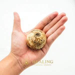 Puser Bumi Pearl Ball - Type C - Bezoar Crystals, Healing Bezoar Stones, Sacred Crystals, Spiritual Crystals, Energy Stones, Ritual Power Stones, Magical Stones, psychic, mystical, artifact