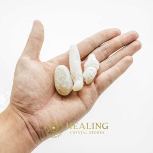 Rabbit Pearl - Type C (White Rabbit) - Bezoar Crystals, Healing Crystals, Mustika Stones, Spiritual Crystals, Magical Stones, Ritual Crystals, Crystals, mystical, magical, occult