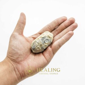 Rhinoceros Pearl - Type D - Bezoar Stones, Healing Crystals, Talismanic Stones, Crystal Stones, Spiritual Crystals, Energy Stones, Ritual Crystals, Psychic, Metaphysical, Magical