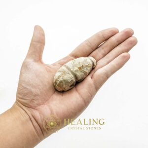 Rhinoceros Pearl - Type E - Animal Totem Stones, Amulet Stones, Healing Crystals, Crystal Stones, Energy Stones, Spiritual Crystals, Enchanted Stones, Mystical, Occult, Artifact