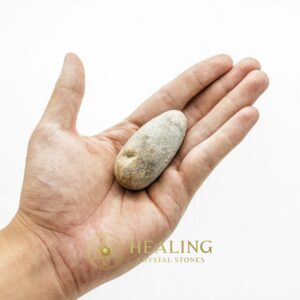 Rhinoceros Pearl - Type F - Bezoar Stones, Mustika Pearls, Healing Stones, Spiritual Crystals, Crystal Stones, Energy Stones, Magical Crystals, Spiritual, Psychic, Magical