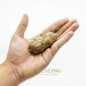 Rhinoceros Pearl - Type G2 (Large) - Bezoar Stones, Healing Bezoar Stones, Talisman Crystals, Energy Stones, Spiritual Crystals, Crystal Stones, Healing Crystals, Mystical, Metaphysical, Spiritual