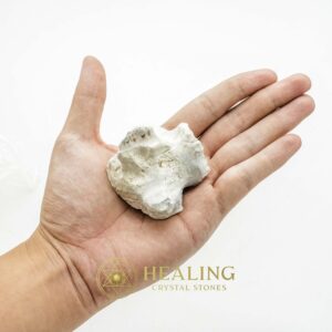 Rhinoceros Pearl - Type J1 - Animal Totem Stones, Ritual Power Stones, Healing Stones, Crystal Stones, Spiritual Crystals, Energy Stones, Enchanted Stones, Psychic, Magical, Artifact