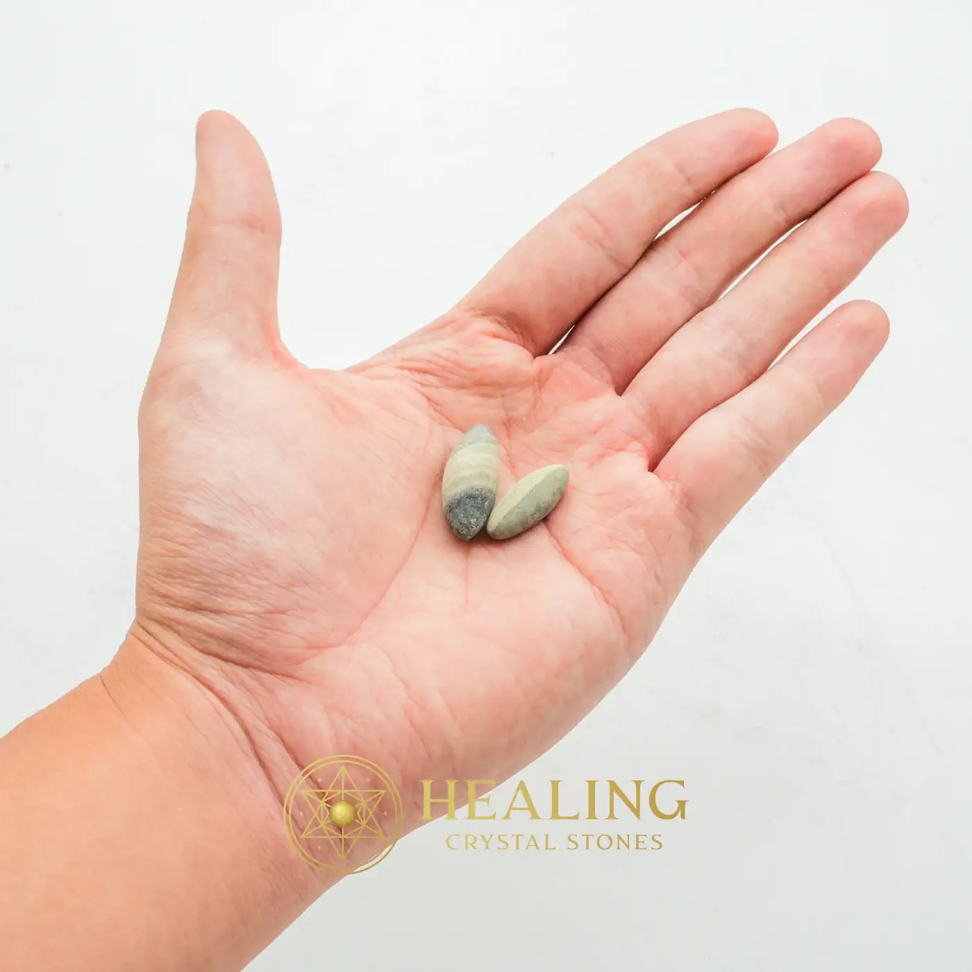 Rimba Tiger Pearls - Type Y1 - Energy Balance Stone, Energy Alignment Crystal, Energy Stones, Life Energy Crystal, Life Force Stone, Energetic, Universal Energy, Positive Energy, Harmony, Balance