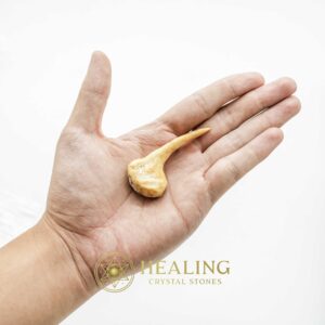 Sawo Kembang Snake Horn - Type B4 - Amulet Stones, Healing Stones, Spiritual Crystals, Bezoar Stones, Bezoar Crystals, Healing Bezoar Stones, Animal Totem Stones, shaman, mystical, occult