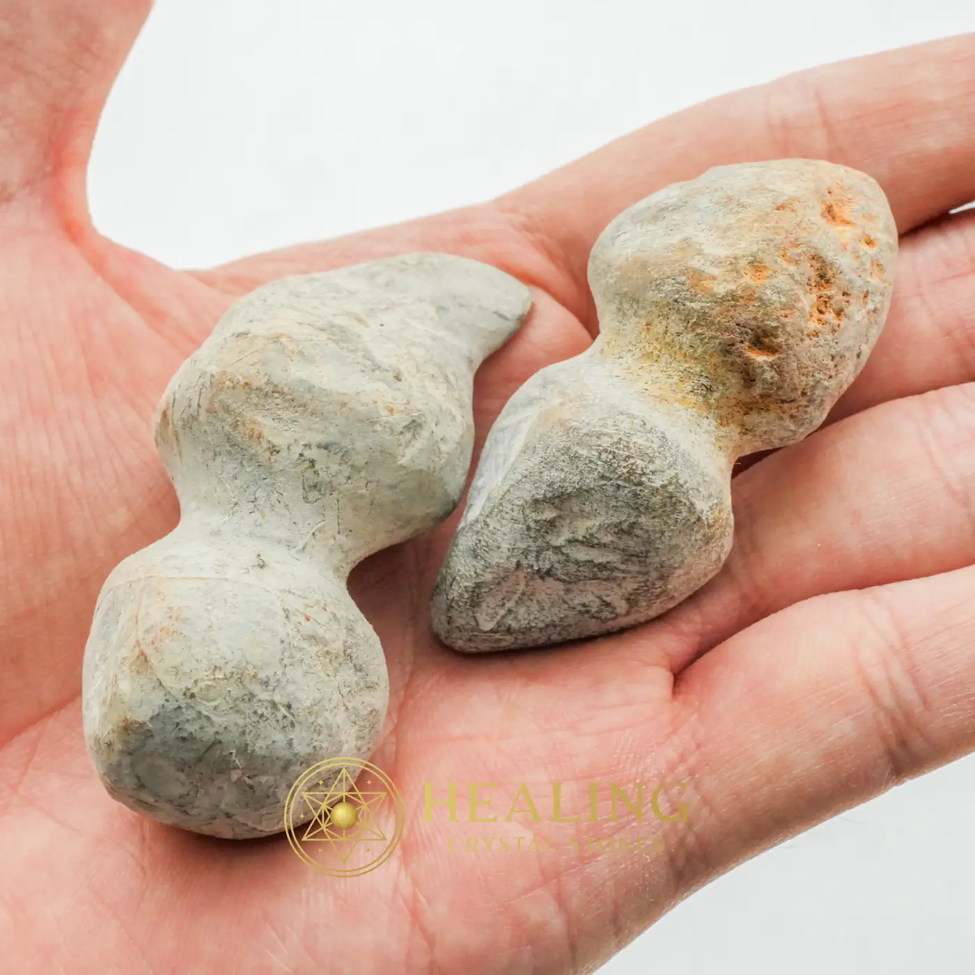 Sea Snake Heart Fossil - Type B1 - Animal Totem Stones, Power Animal Stones, Guardian Stone, Guardian Crystal, Spirit Stone, Spirit Crystal, Nature Crystal, Shamanic, Earth Spirit Stone, Sacred