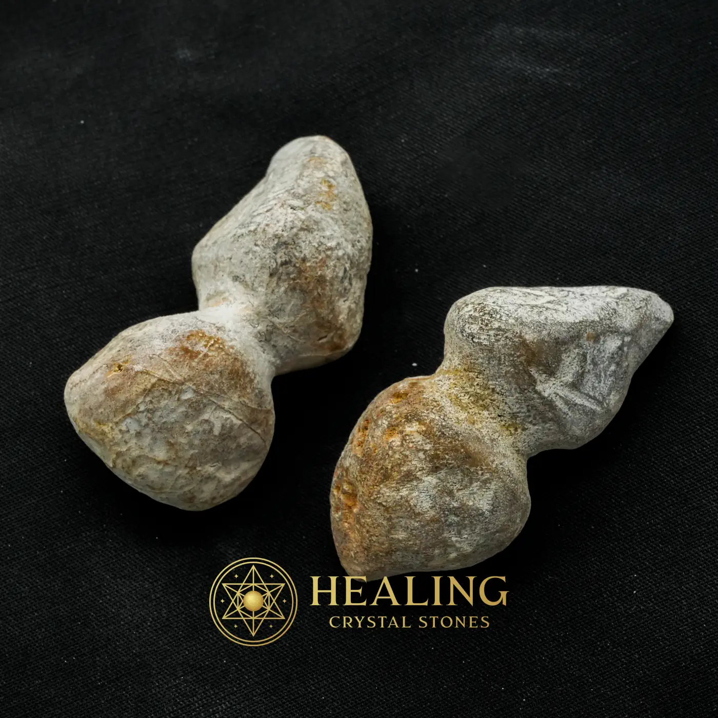Sea Snake Heart Fossil - Type B1 - Warding Stone, Protective Stone, Cleansing, Purification, Protection, Energy Shield Crystal, Negative Energy Protection, Aura Cleansing Stone, Guardian Talisman, Guardian Amulet