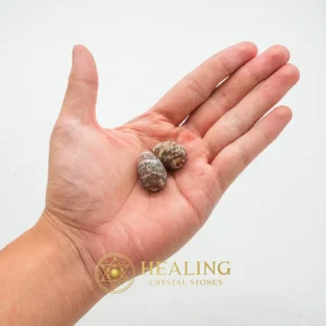 Sealions Pearls - Type A1 - Nature Crystal, Solar Crystal, Life Energy Crystal, Universal Energy, Energetic, Aura, Meditation, Spirit Crystal, Balance, Harmony