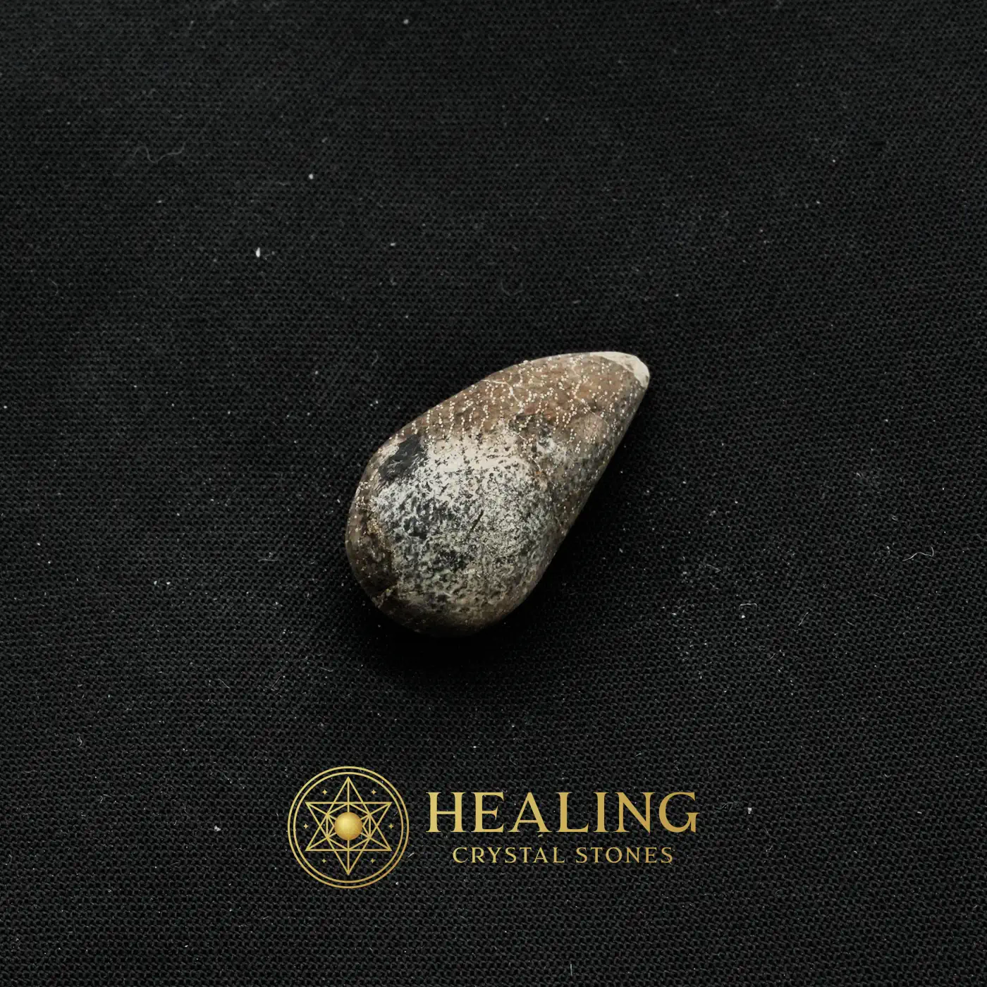 Sealions Pearls - Type A2 - Animal Totem Stones, Power Animal Stones, Spirit Crystal, Earth Spirit Stone, Nature Stone, Shamanic, Inner Wisdom, Harmony, Aura, Protection
