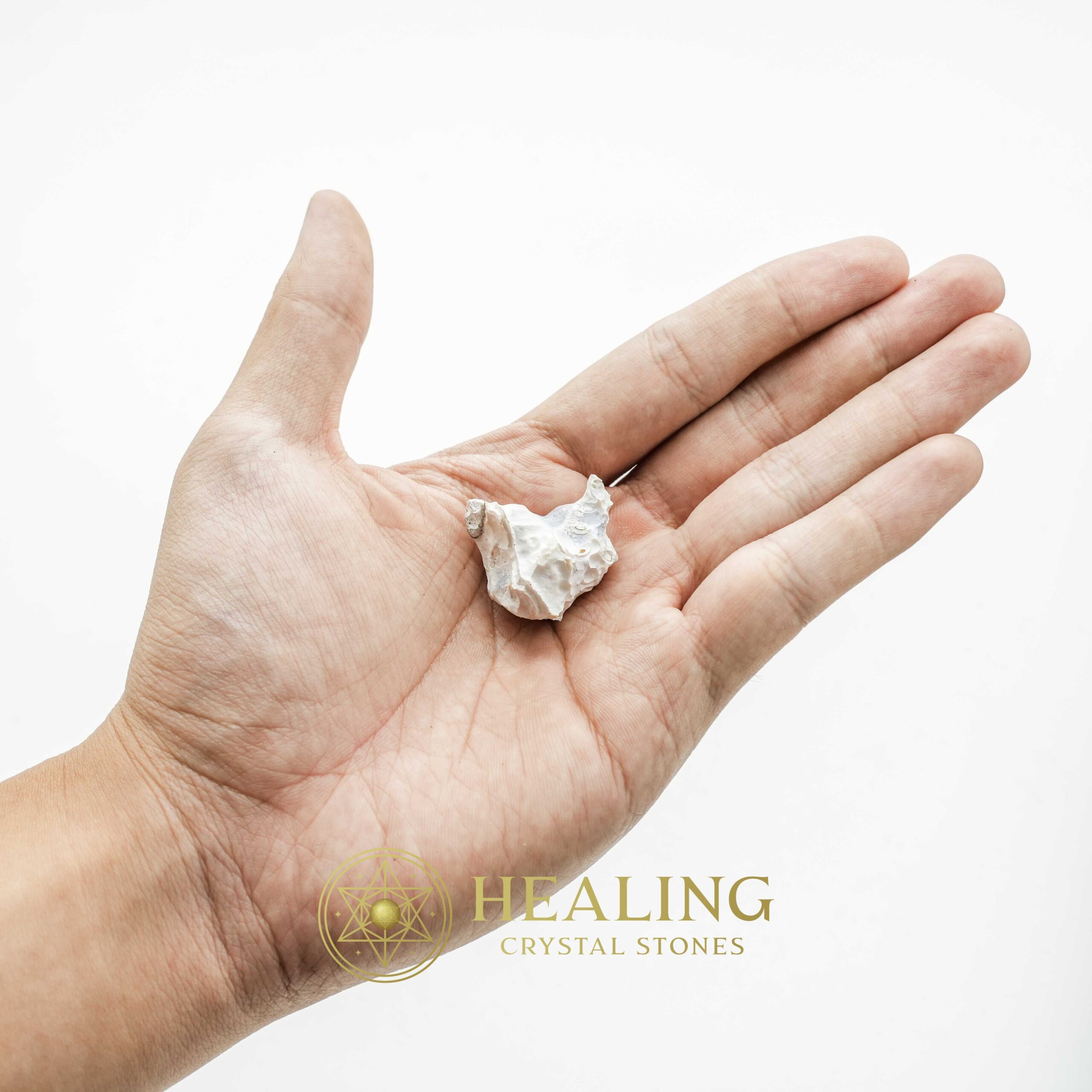Selendang Snake Horn - Type A1 - Healing Stones, Spiritual Crystals, Bezoar Stones, Bezoar Crystals, Healing Bezoar Stones, Animal Totem Stones, Power Animal Stones, shamanic, psychic, spiritual