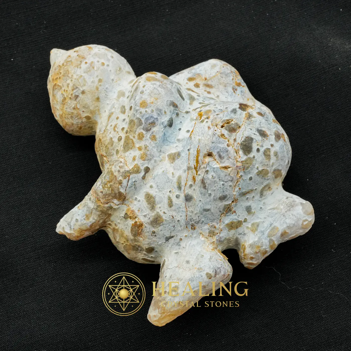 Semar Mesem Fossil - Large C11 - Mustika Pearls, Crystal Stones, Healing Stones, Aura, Meditation, Cleansing, Fortune, Rare, Exotic, Exceptional