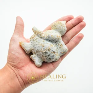 Semar Mesem Fossil - Large C11 - Healing Crystals, Talisman Crystals, Sacred Crystals, Chakra, Balance, Positive Energy, Harmony, Authentic, Rare, Exceptional