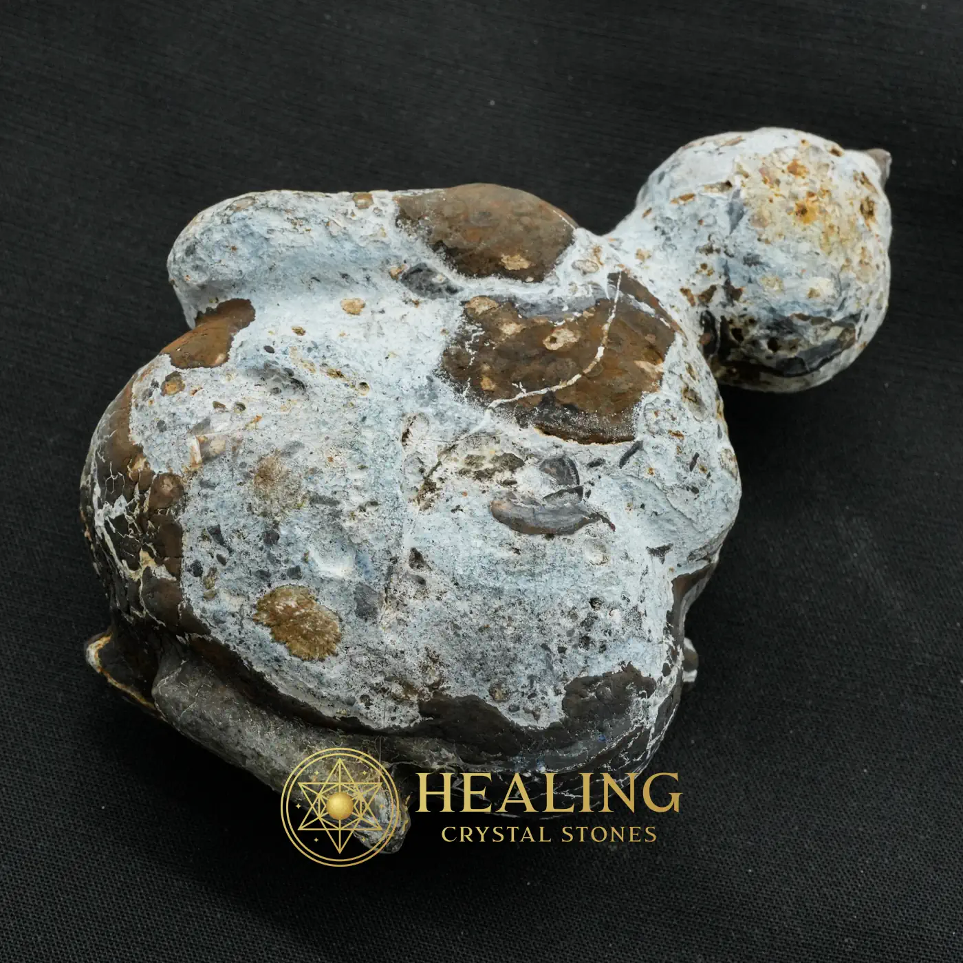 Semar Mesem Fossil - Large C12 - Mustika Pearls, Sacred Stones, Ritual Crystals, Aura, Inner Wisdom, Balance, Cleansing, Exceptional, Sacred, Unique