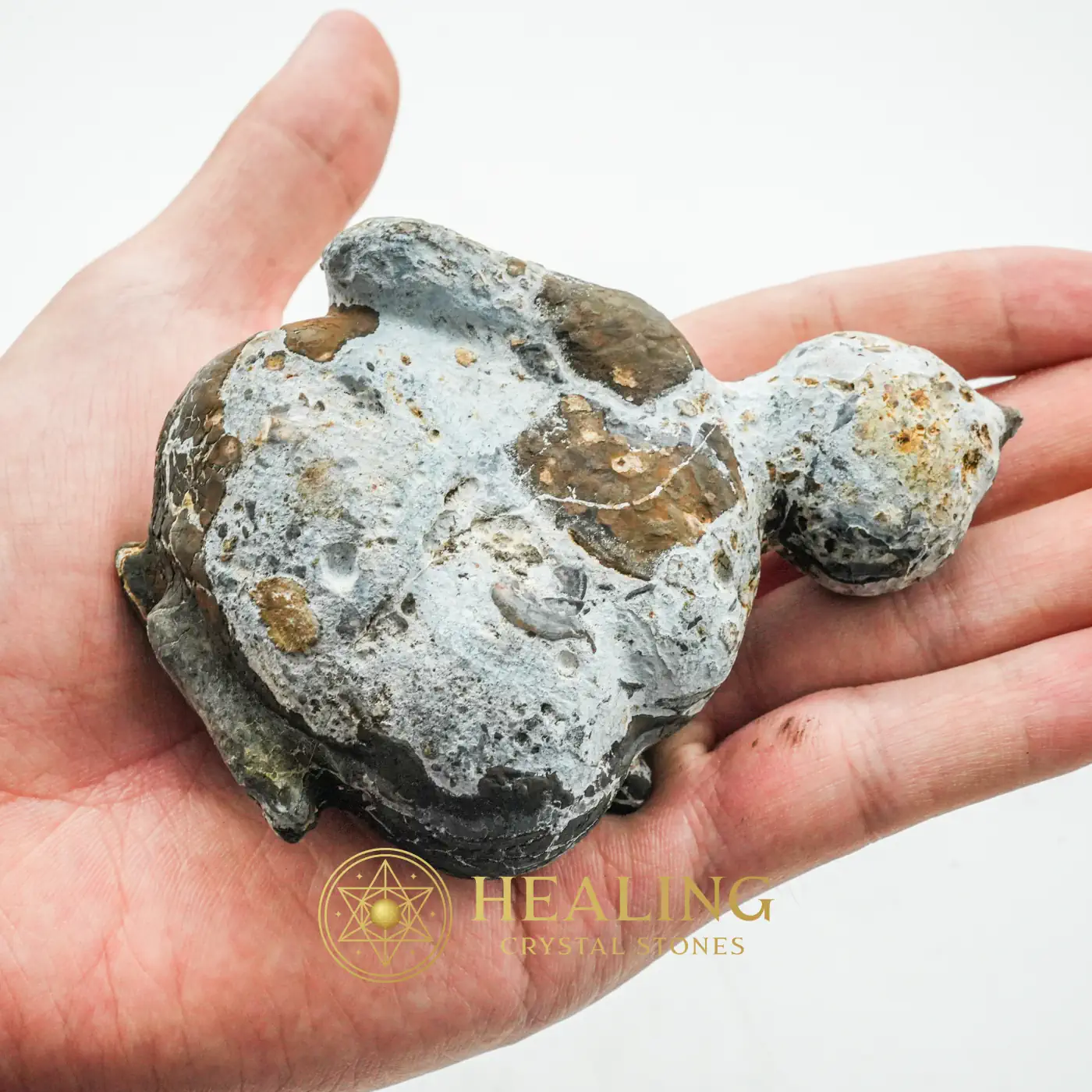 Semar Mesem Fossil - Large C12 - Healing Stones, Animal Totem Stones, Spiritual Crystals, Universal Energy, Meditation, Harmony, Divine, Authentic, Rare, Antique