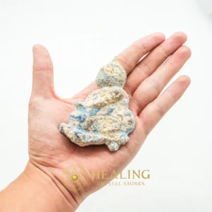 Semar Mesem Fossil - Large C2 - Crystal Stones, Amulet Stones, Spiritual Healing, Aura, Inner Wisdom, Cleansing, Sacred, Exotic, Unique, Protection