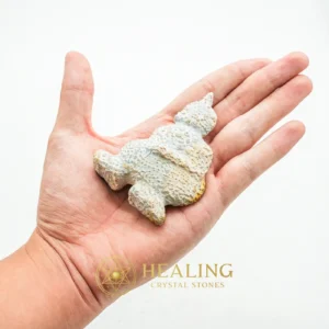 Semar Mesem Fossil - Large C3 - Crystal Stones, Healing Bezoar Stones, Ritual Crystals, Aura, Harmony, Protection, Fortune, Divine, Exceptional, Sacred