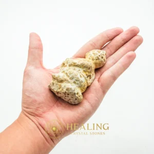 Semar Mesem Fossil - Large C4 - Crystal Stones, Ritual Power Stones, Sacred Stones, Meditation, Harmony, Protection, Rare, Authentic, Sacred, Exotic