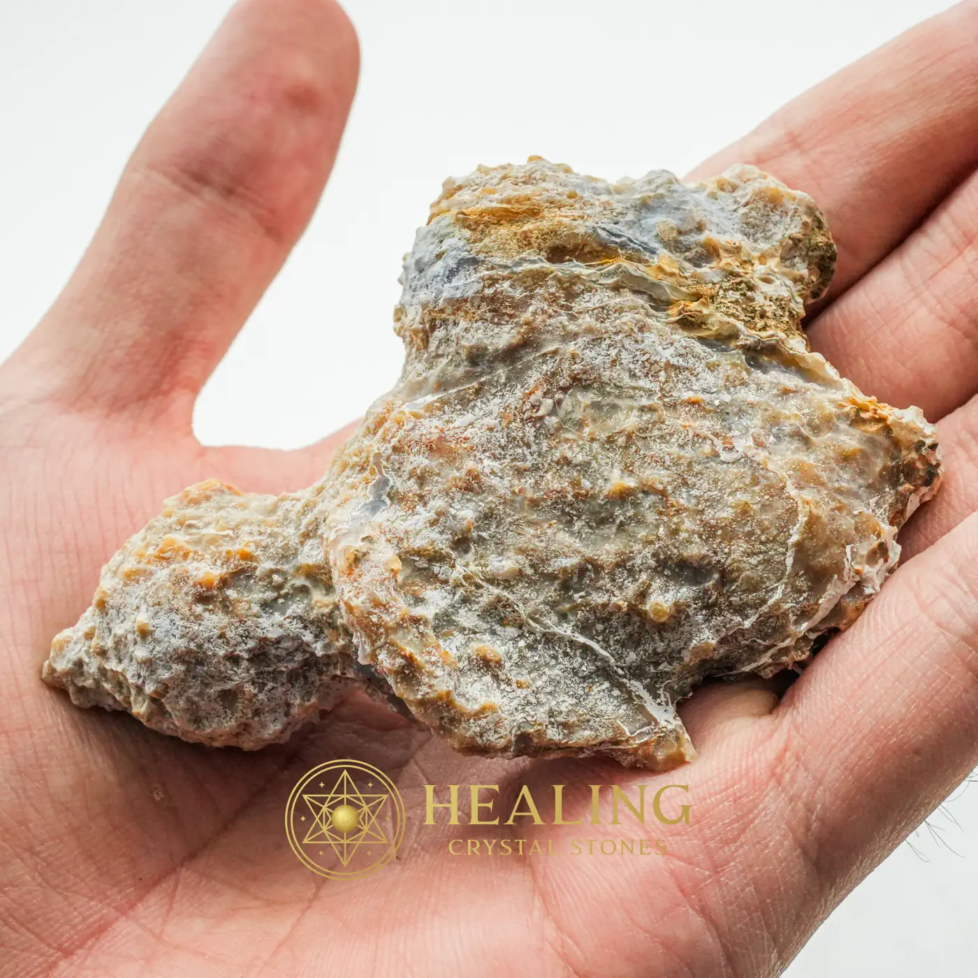 Semar Mesem Fossil - Large C5 - Crystal Stones, Healing Stones, Talismanic Stones, Meditation, Inner Wisdom, Protection, Exotic, Divine, Harmony, Sacred