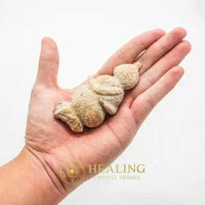 Semar Mesem Fossil - Large C7 - Mustika Stones, Healing Bezoar Stones, Ritual Power Stones, Harmony, Fortune, Cleansing, Sacred, Divine, Unique, Antique