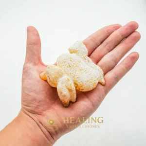 Semar Mesem Fossil - Large C8 - Bezoar Crystals, Ritual Crystals, Sacred Stones, Aura, Meditation, Harmony, Fortune, Authentic, Rare, Antique