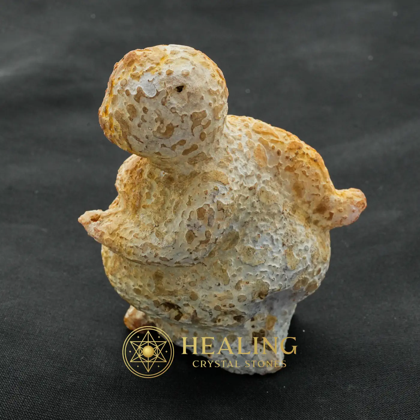 Semar Mesem Fossil - Large C9 - Healing Crystals, Crystal Stones, Mustika Pearls, Sacred Crystals, Aura, Meditation, Protection, Harmony, Authentic, Rare