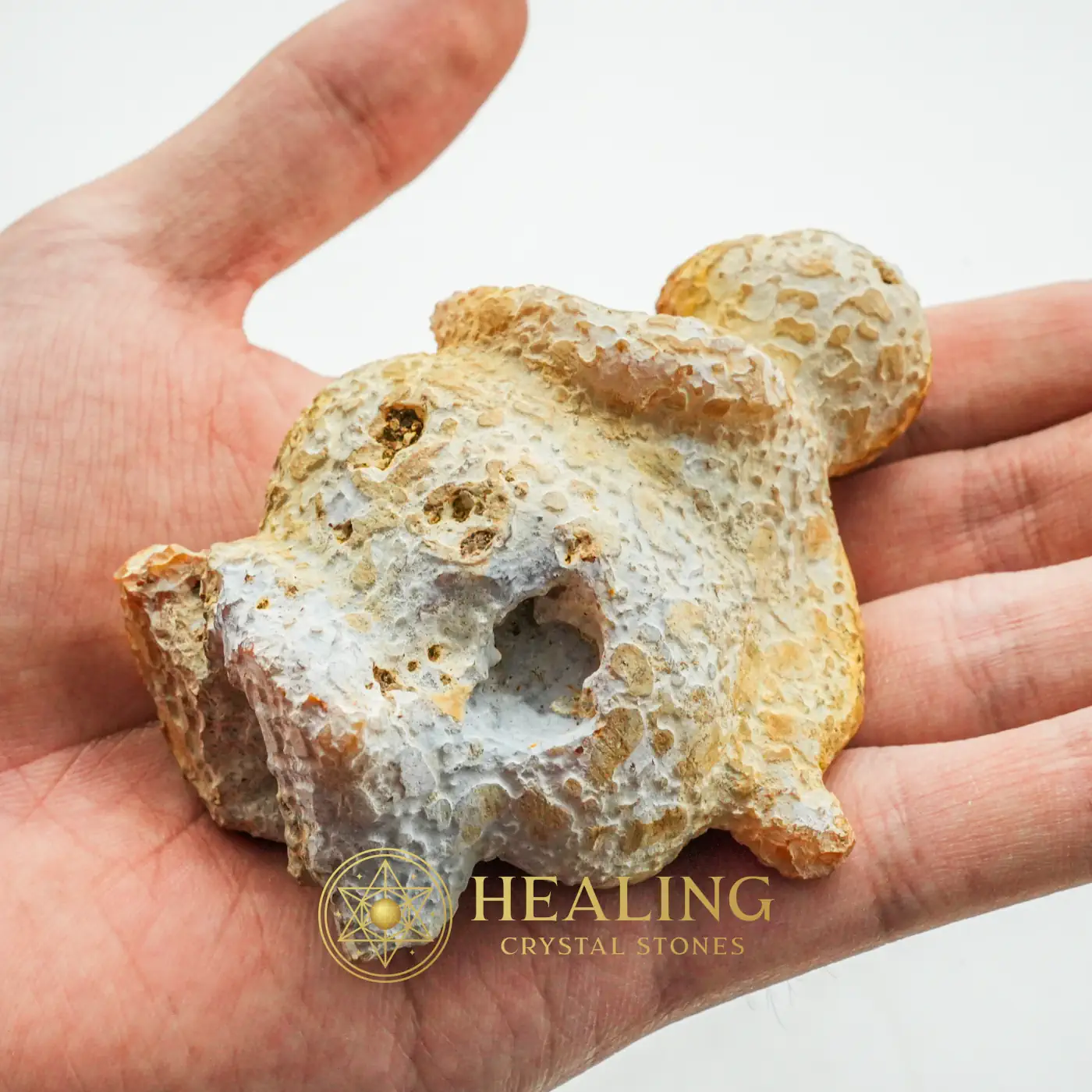 Semar Mesem Fossil - Large C9 - Bezoar Stones, Healing Stones, Spiritual Crystals, Universal Energy, Chakra, Positive Energy, Divine, Unique, Antique, Sacred