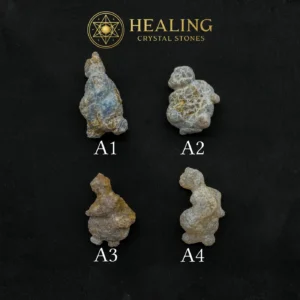 Semar Mesem Fossil (Small) A1 - A4 - Healing Crystals, Crystal Stones, Mustika Stones, Sacred Crystals, Aura, Meditation, Protection, Positive Energy, Authentic, Rare