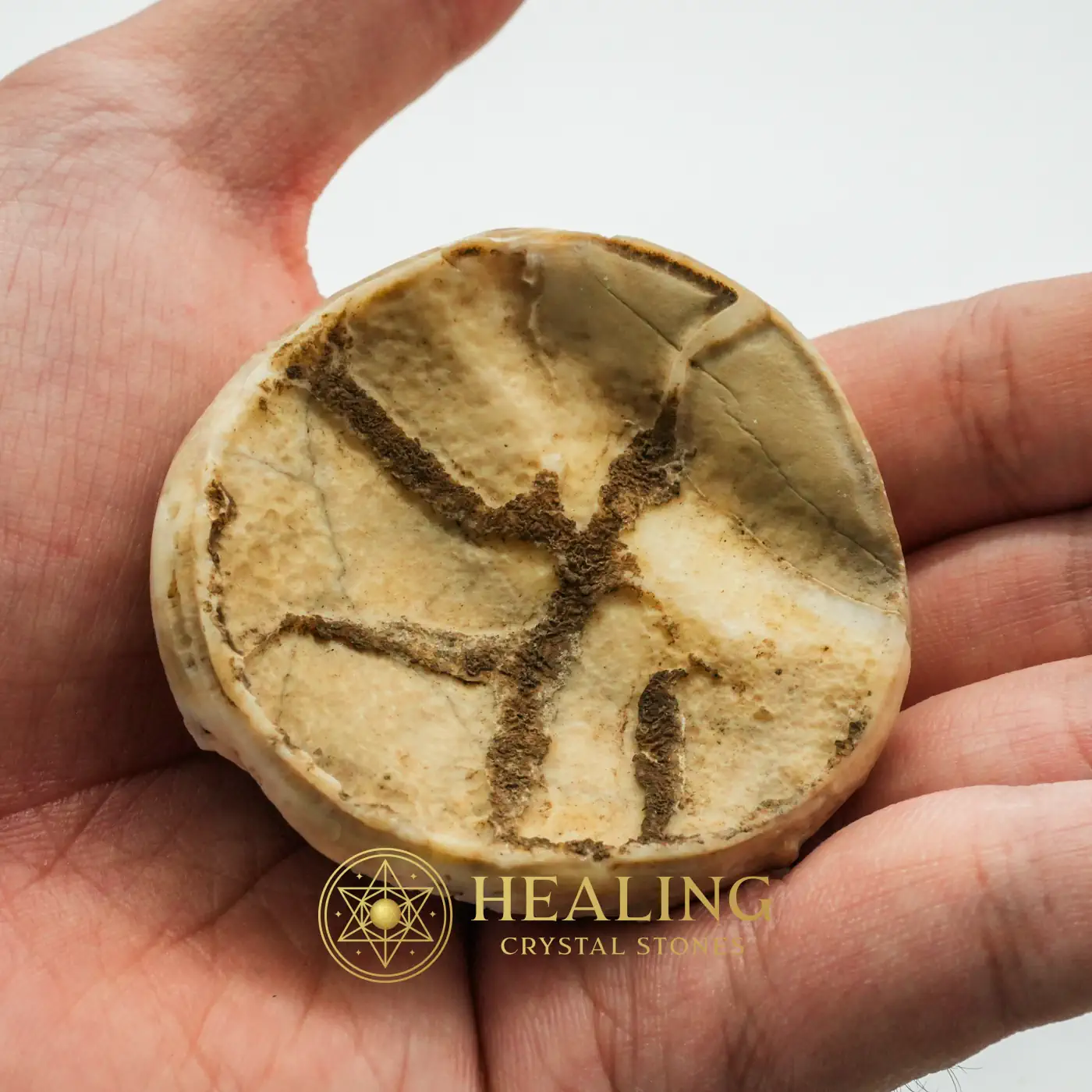 Sky Air Cloud Dragon Crown A1.5 - Animal Totem Stones, Power Animal Stones, Healing Crystals, Spiritual Crystals, Sacred Crystals, Ritual Crystals, Energy Stones, shaman, occult, artifact